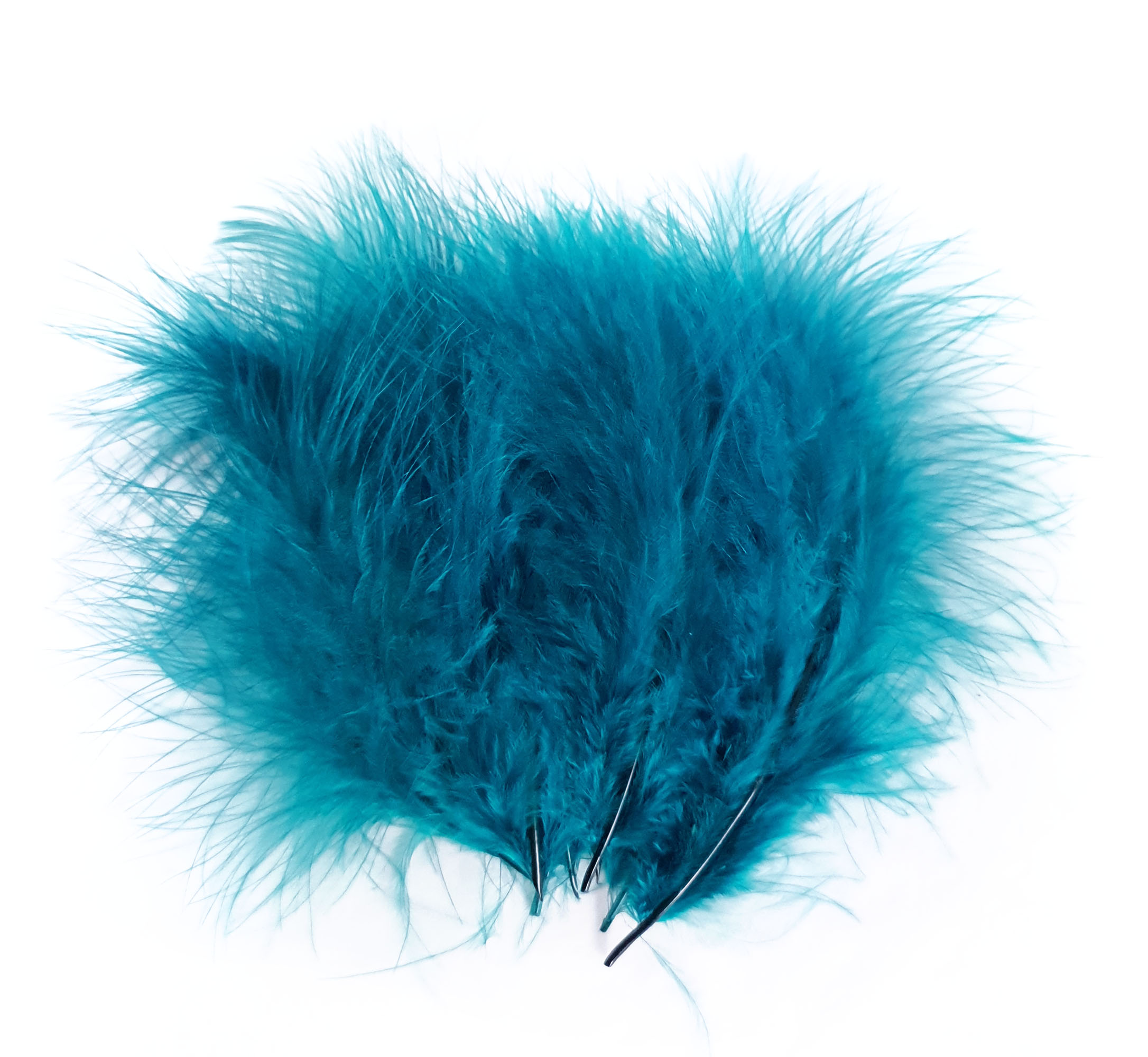 plume dinde marabout bleu petrole