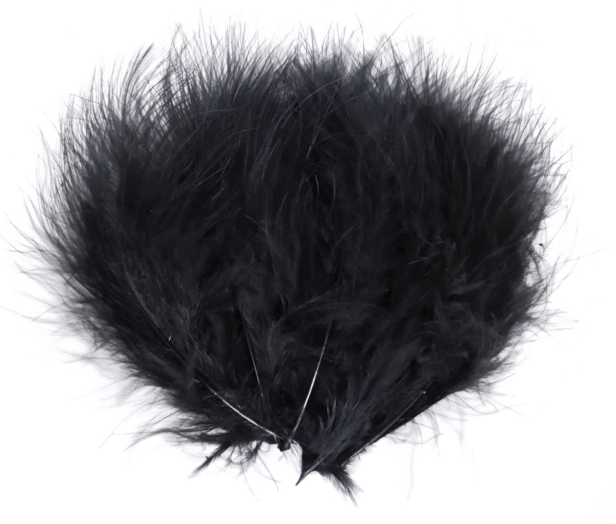 plume dinde marabout noir