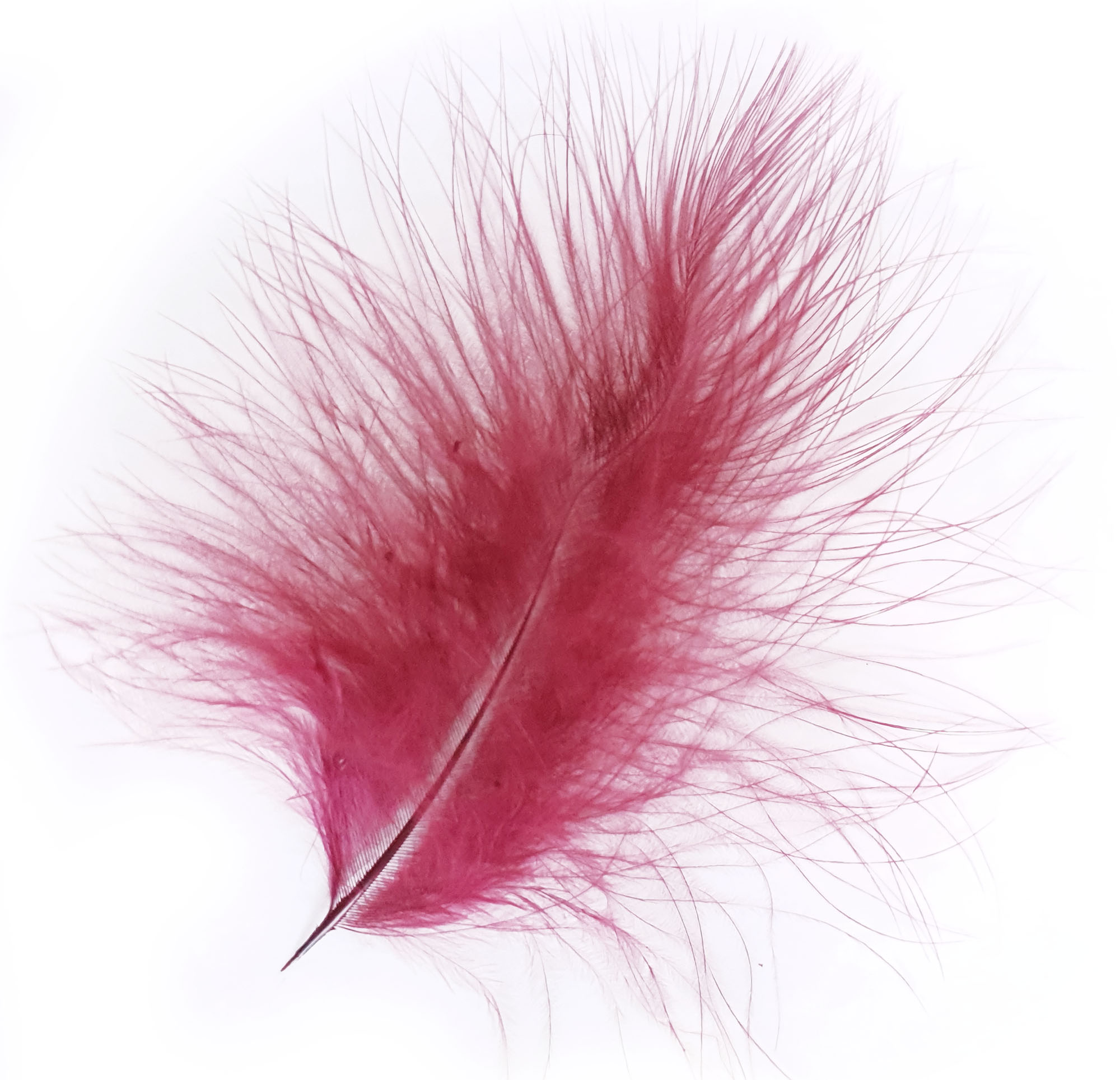 plume dinde marabout rubis