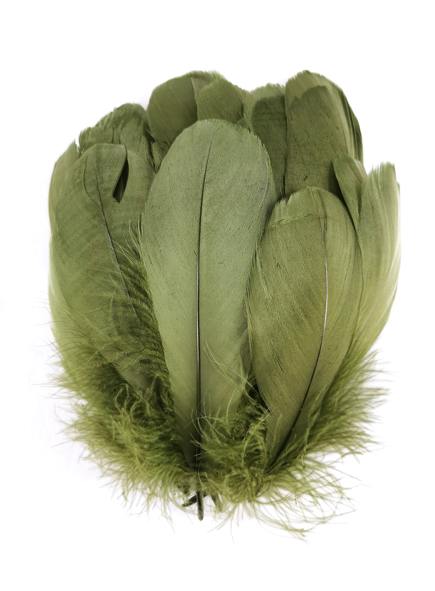 plume nageoire doie militaire