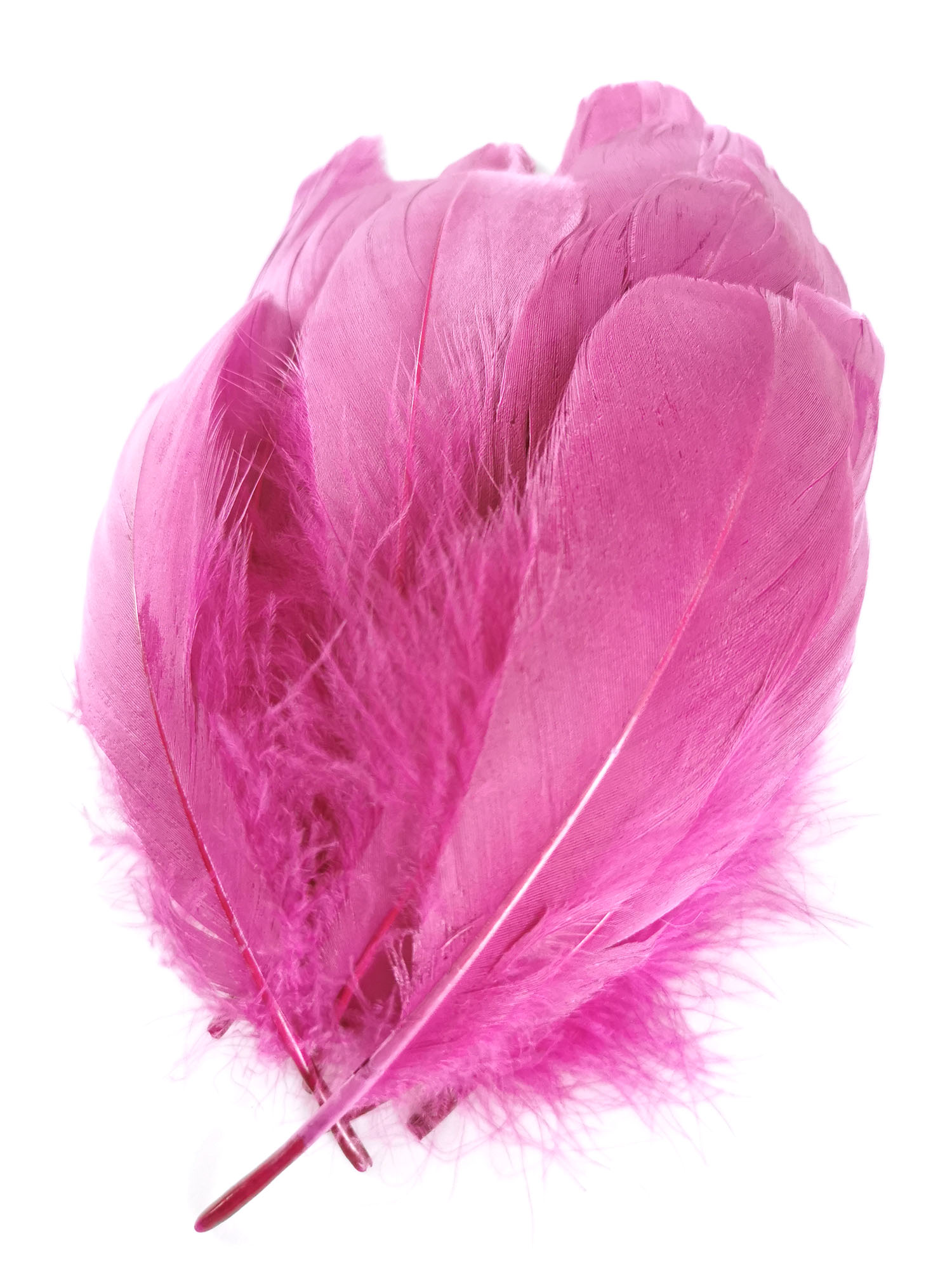 plume nageoire doie rose horthensia