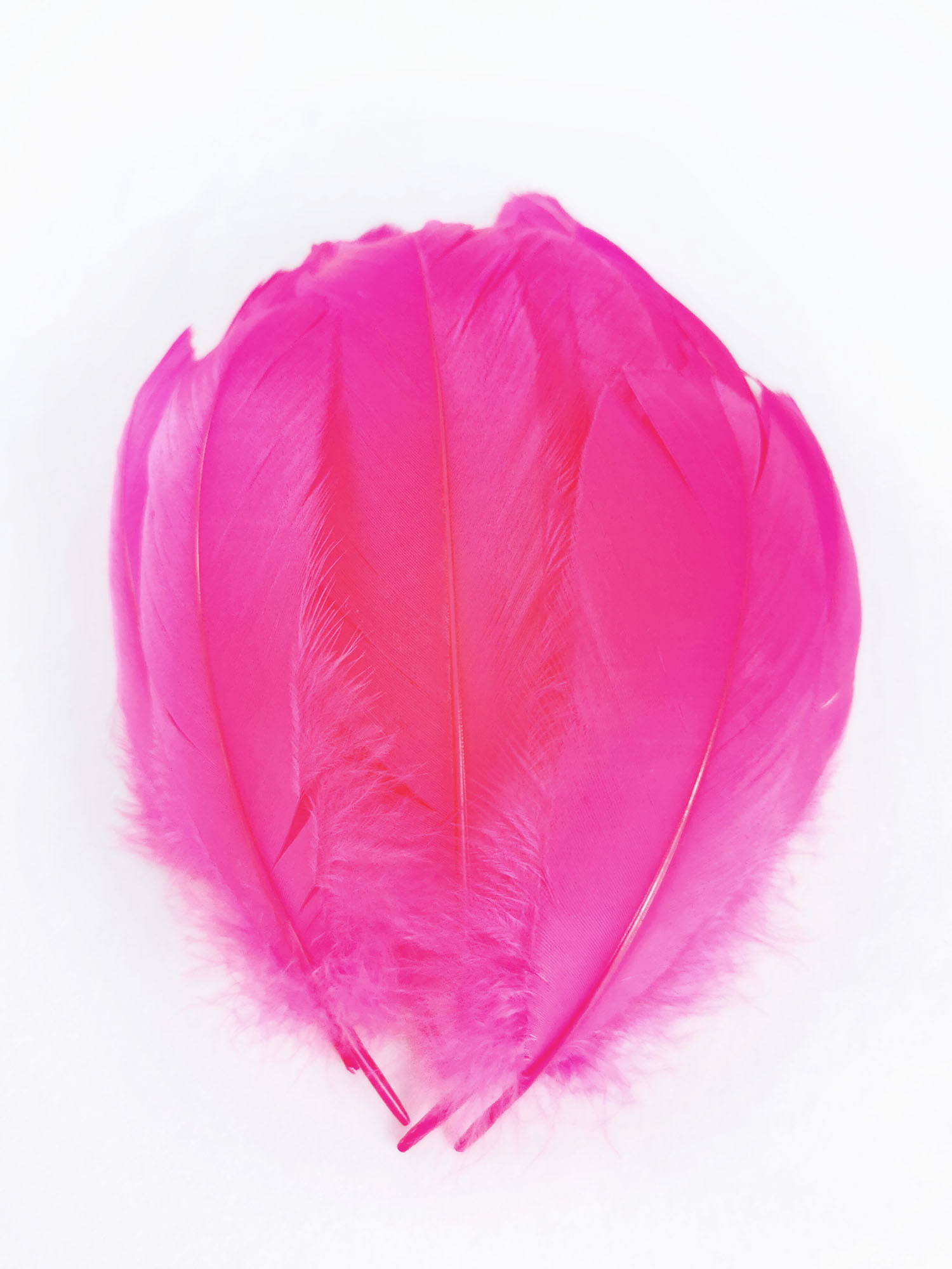 plume nageoire doie rose fluo