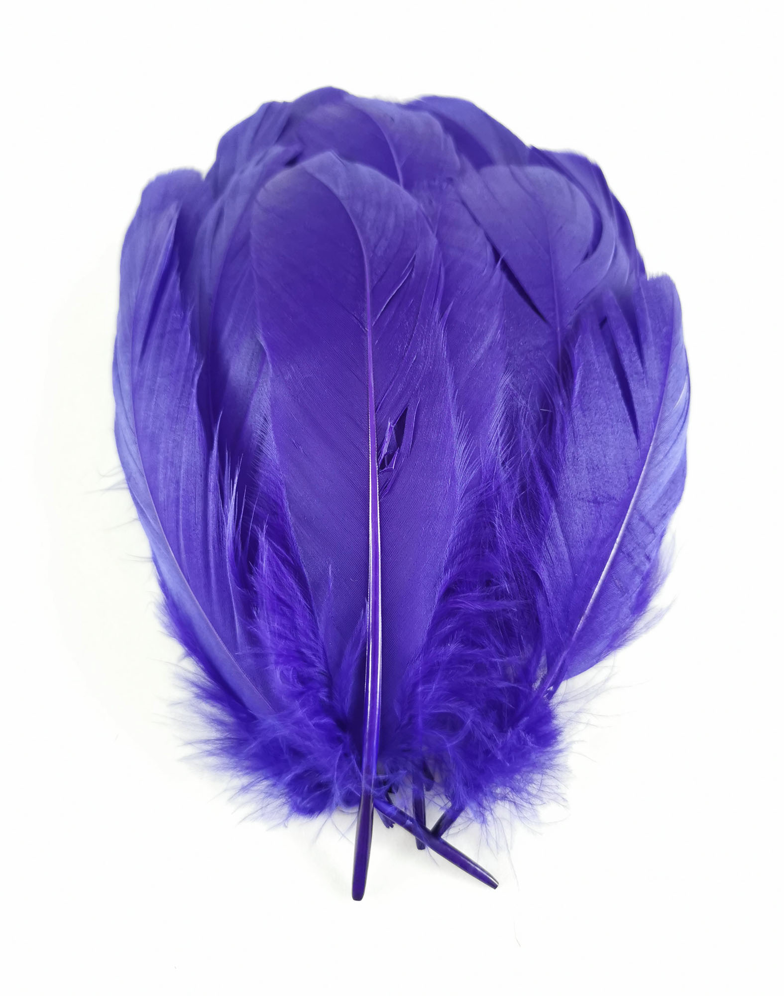 plume nageoire doie rigide violet
