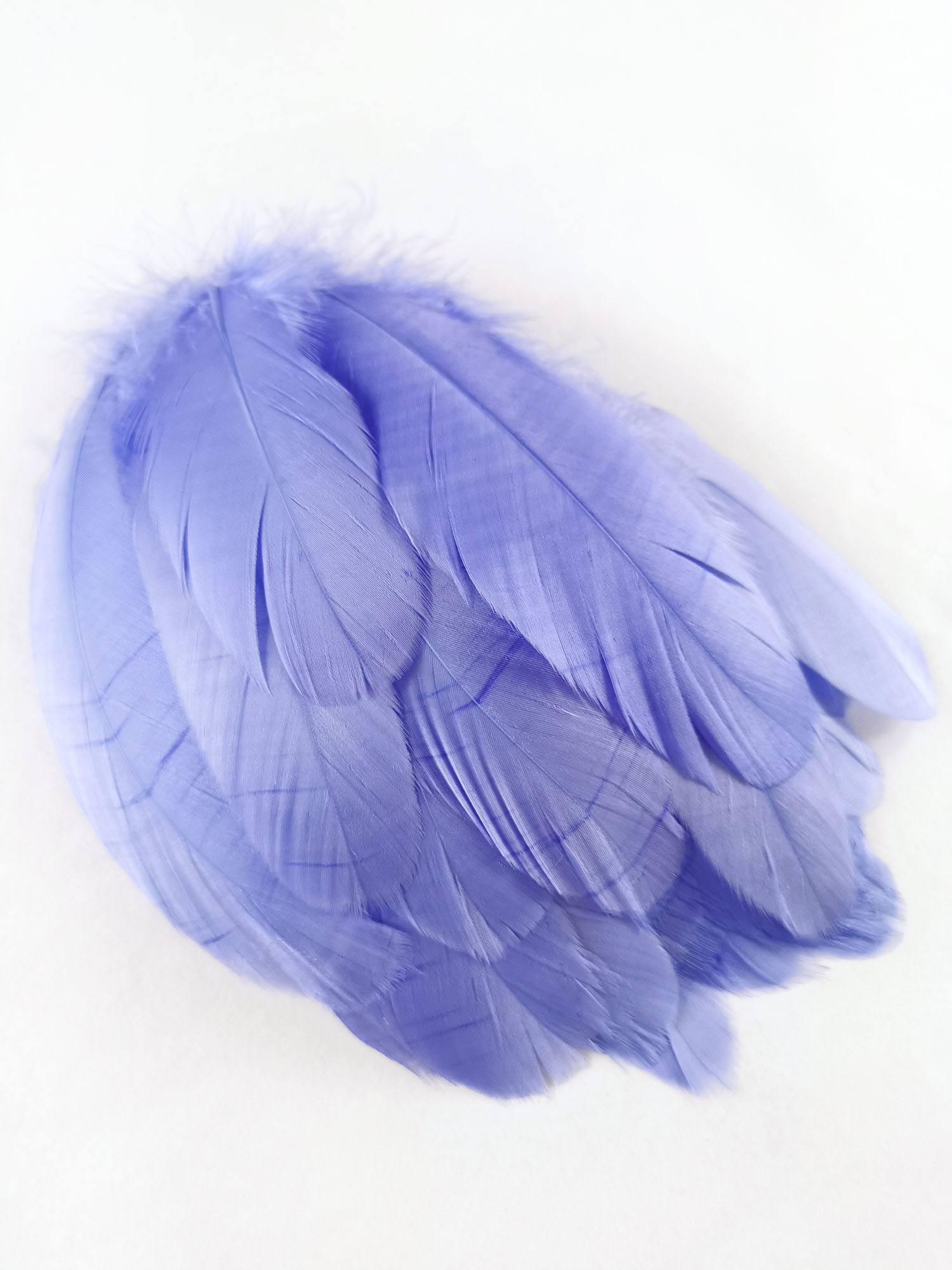 plume nageoire doie rigide lavande