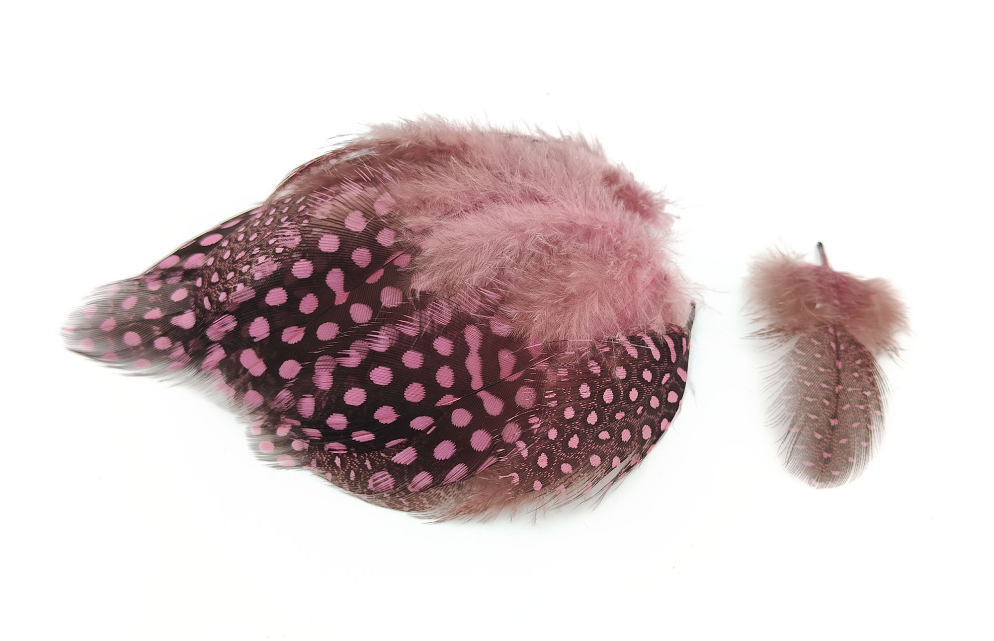 plume de pintade legere rose buvard
