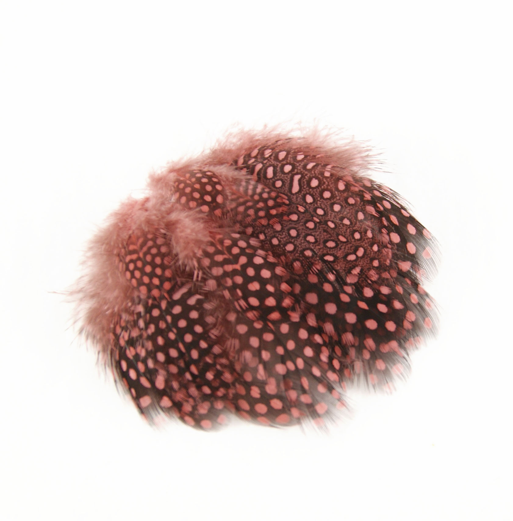 plume de pintade rose indien