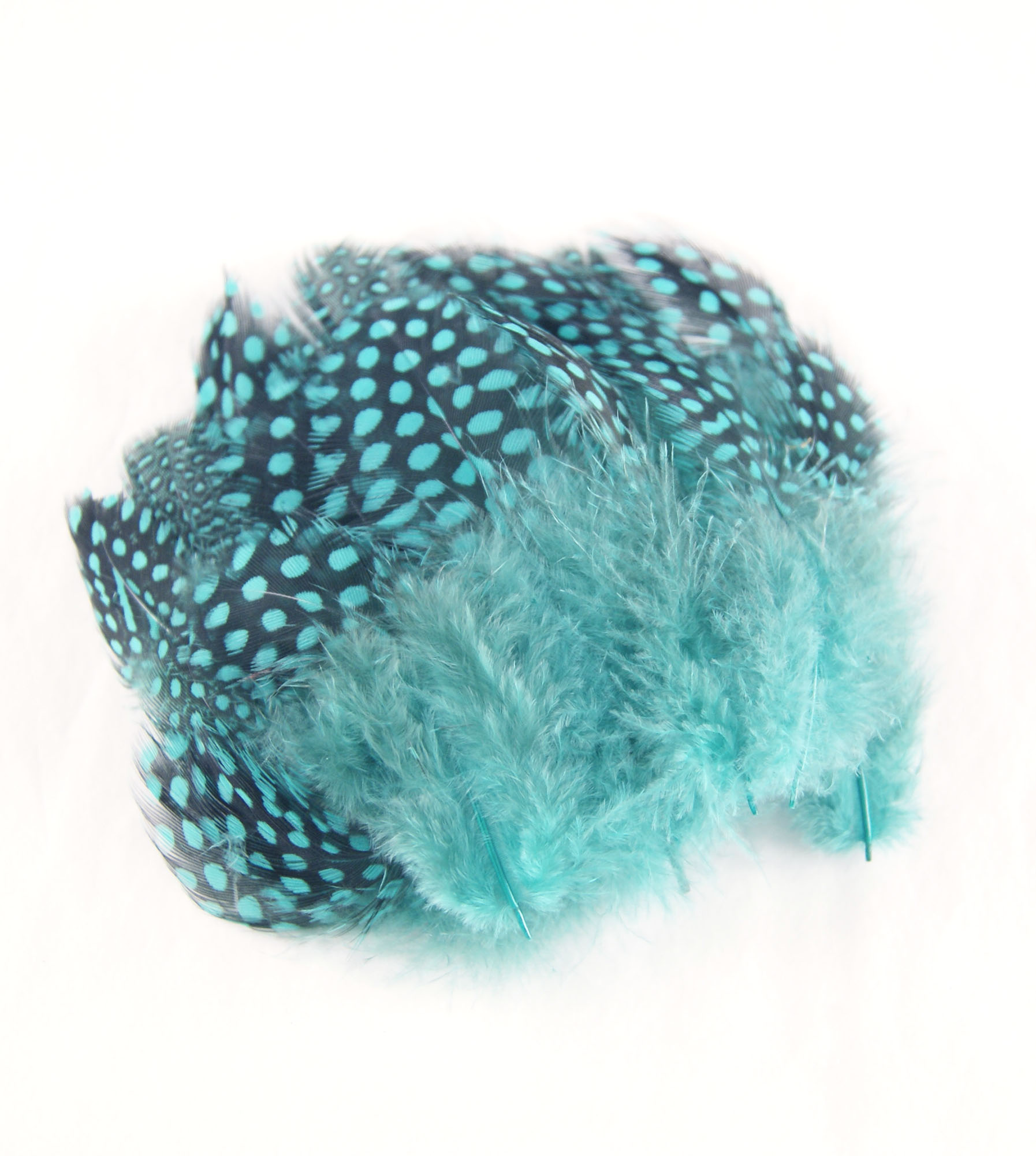plume de pintade bleu lagon