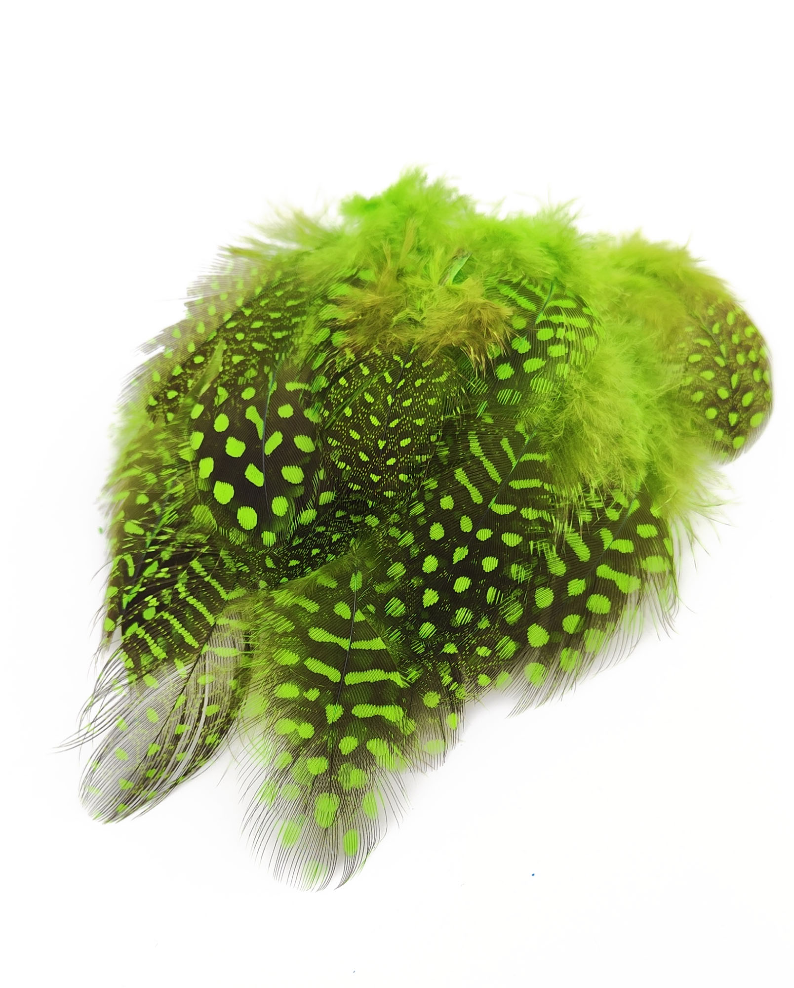 plume de pintade vert vif de qualite