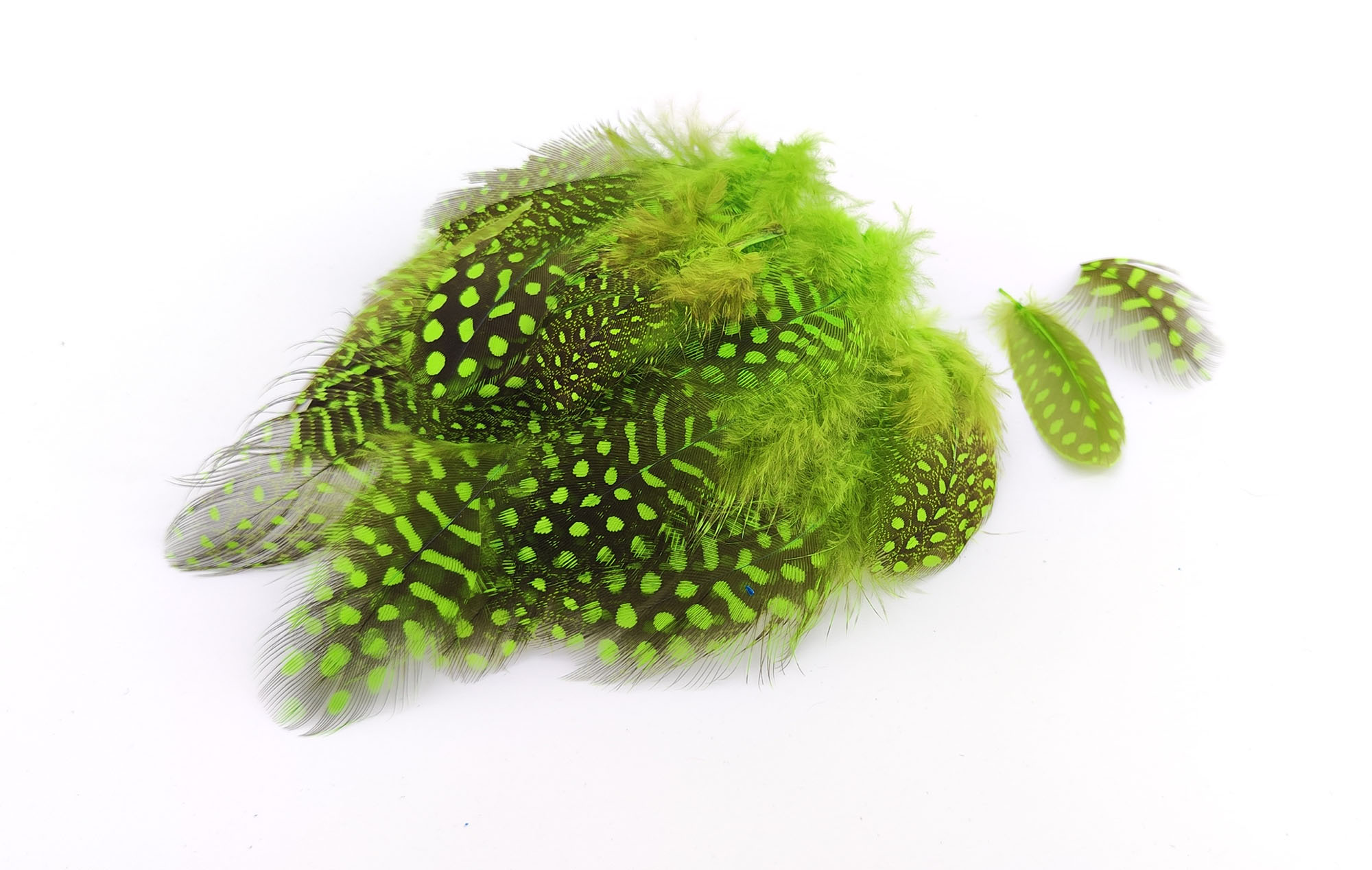 plume de pintade vert vif