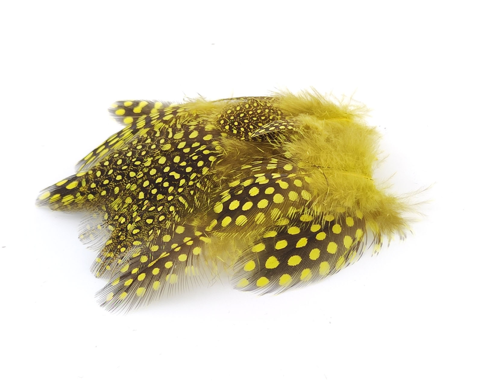 plume de pintade jaune