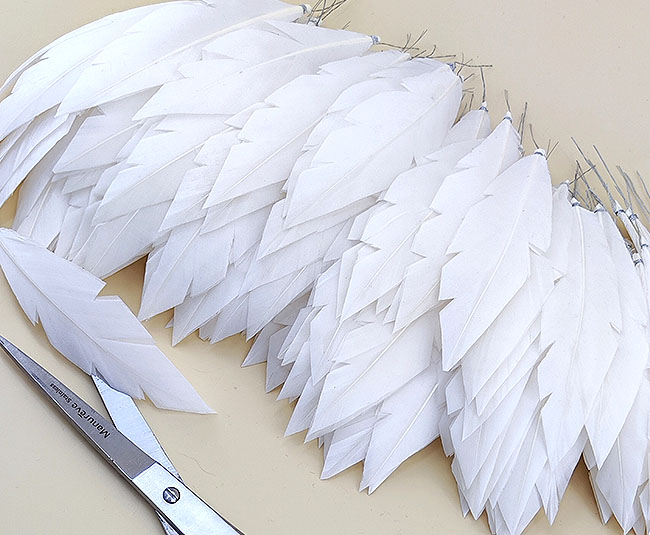 plumes et piquets