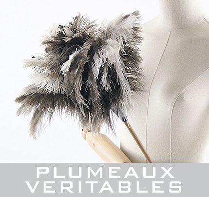 plumeau, décoration en plume