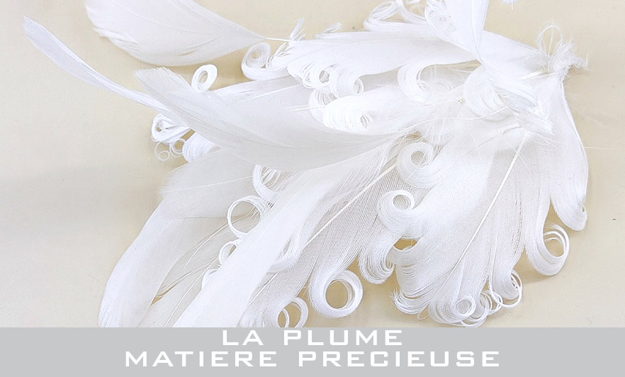 accessoire en plume