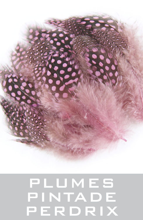plume de pintade, perdrix, loisirs créatifs