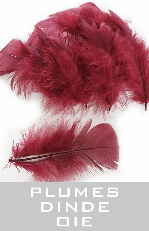 plumes de dinde, oie
