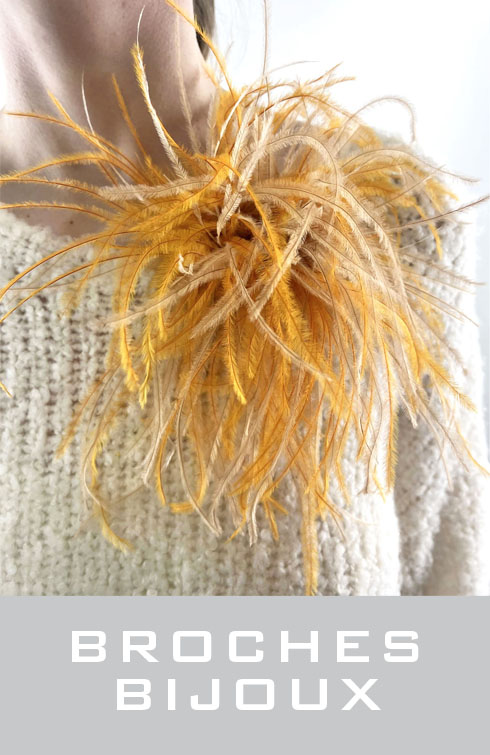broche en plume