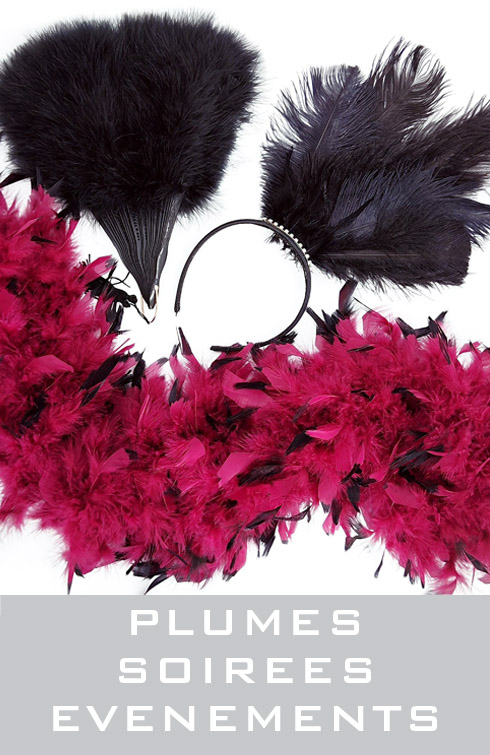 plumes pour faire la fête