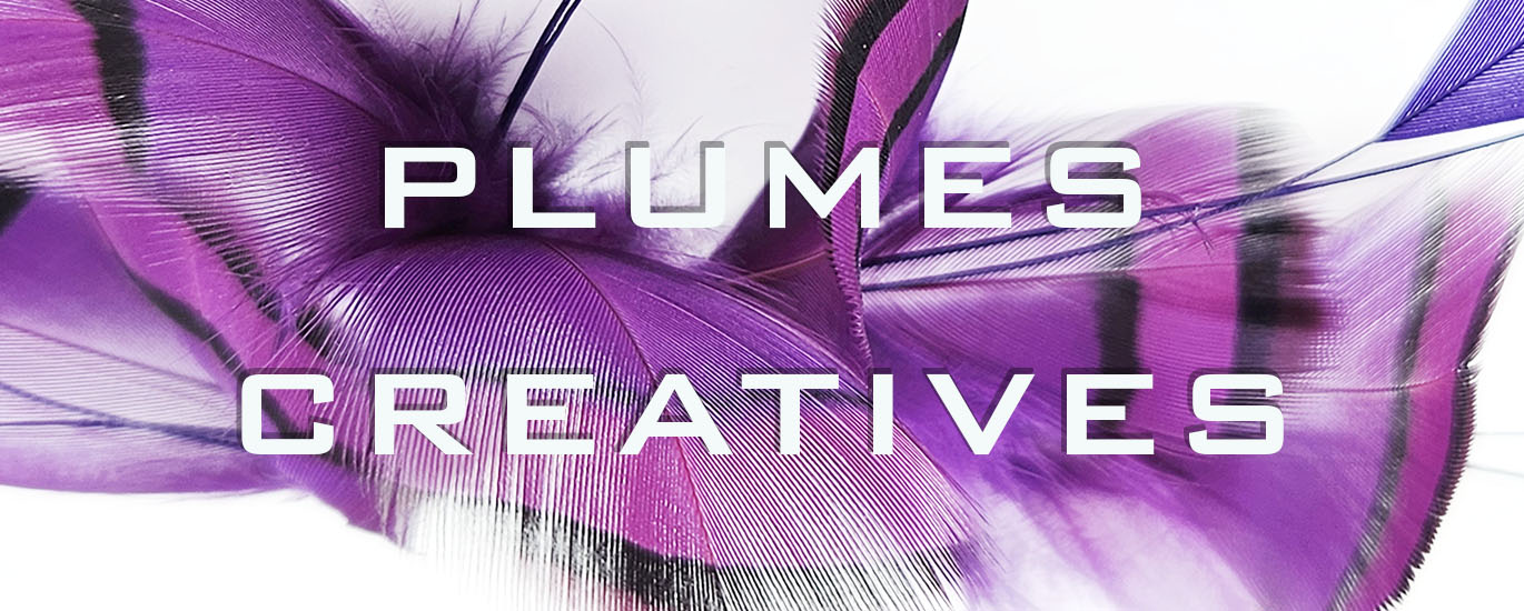 plumes naturelles colorées