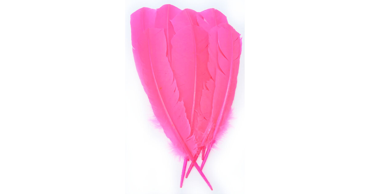 PATIKIL Plumes De Flèche 50 Pièces 3 Pouces - Empennage Archery Bouclier Blanc