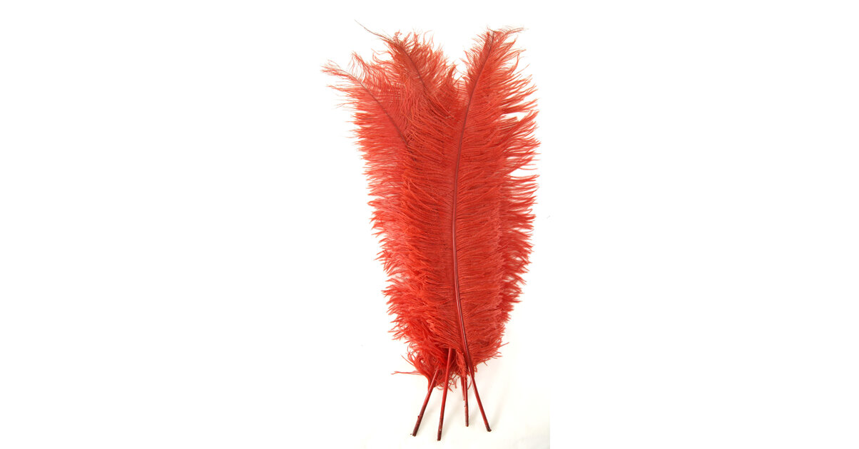 Lot 250 Plumes Marabout Rouges Duveteuses 10-15 Cm – Idéales Pour Art, Bijoux, Masques, Déco Mariage & Artisanat