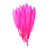 plume palette d'oie rose fluo
