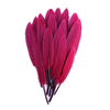 plume palette d'oie bordeaux