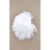 plume autruche mini blanc de qualite