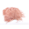 plume autruche mini poudre