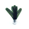 plume palette de dinde rigide vert fonce