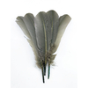 plume palette de dinde vert kaki