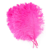 plume petite autruche rose fluo
