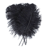 plume petite autruche noir legere