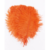 plume petite autruche orange raide