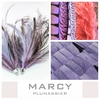 Marcy plume