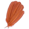 plume palette dinde grande rigide orange cuivre