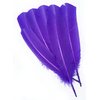 plume palette dinde grande rigide violet