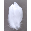 plume palette de dinde petite blanc