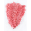 plume autruche souple rose indien de qualité