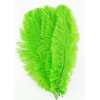 plume autruche souple vert fluo jolie