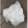plume duveteuse dinde petite coquille blanc