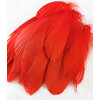 plume nageoire d'oie rouge