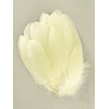 plume nageoire d'oie jaune pastel