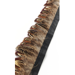 frange faisan commun plume marron de qualite