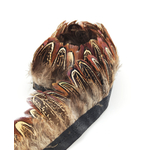 frange faisan commun plume marron