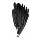 plume palette doie petite noir