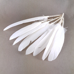 plume palette doie blanc