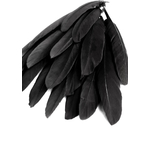 plume palette doie noir