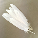 plume palette doie ecru