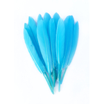 plume palette doie bleu lagon