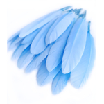 plume palette doie petite bleu nattier